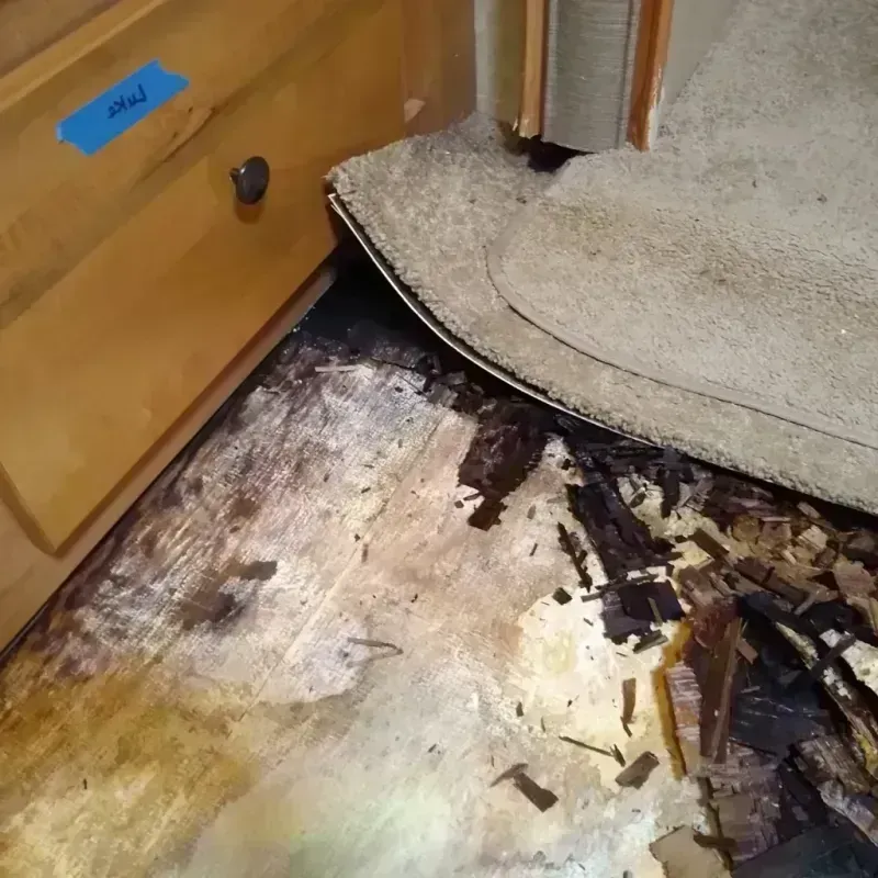 Best Wood Floor Water Damage Service in Koochiching County, MN